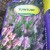 tuinturf florentus